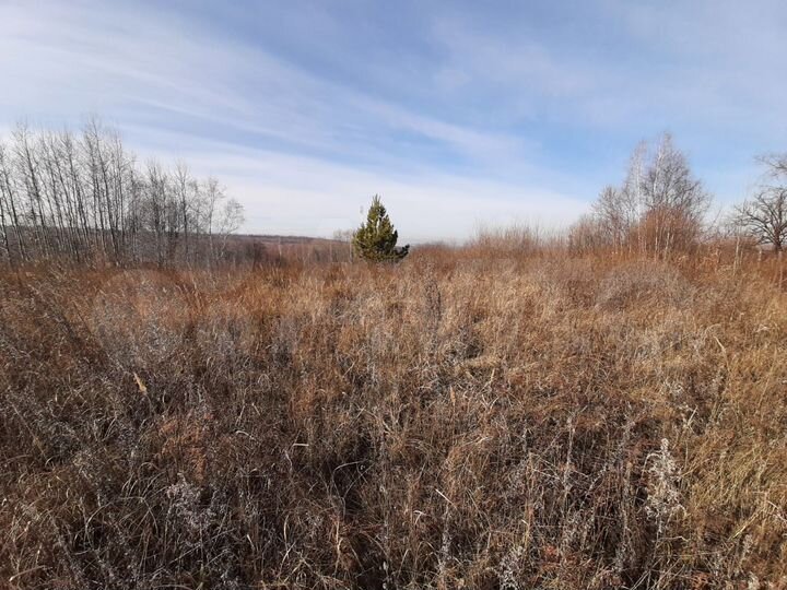 Участок 20 сот. (ИЖС)