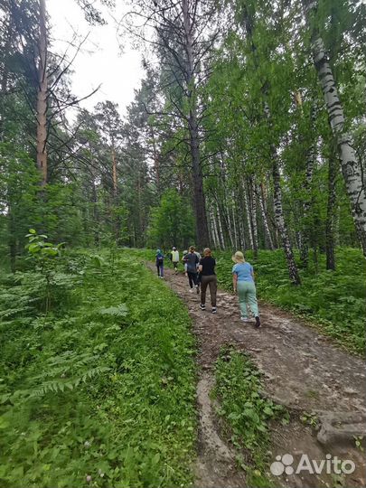 Бердские скалы + водопады нсо