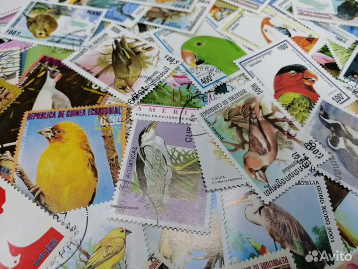 Набор 200 разных марок птицы