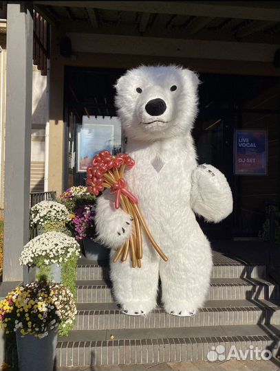 Поздравление с медведем