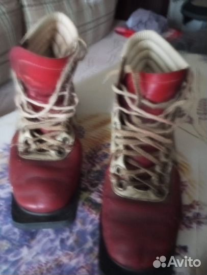 Лыжи беговые