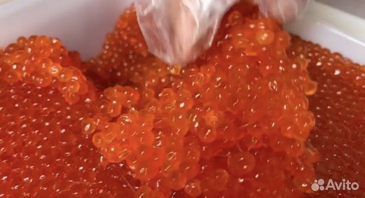 Икра Кеты опт