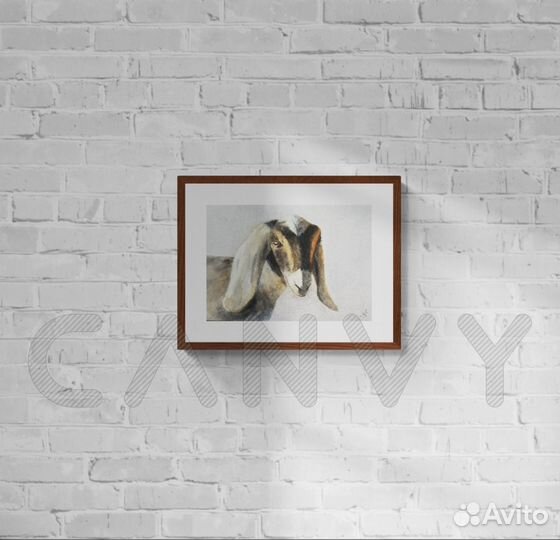 Картина акварель «Нубийская коза»