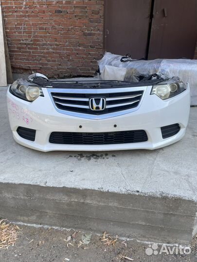 Ноускат honda accord 8