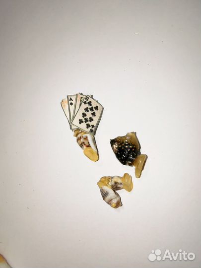 Покер ракушки винтаж поделка ручная работа