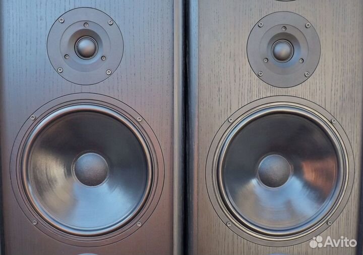 I.Q. TED 4. Напольная акустика. Германия