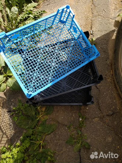 Ящик пластиковый