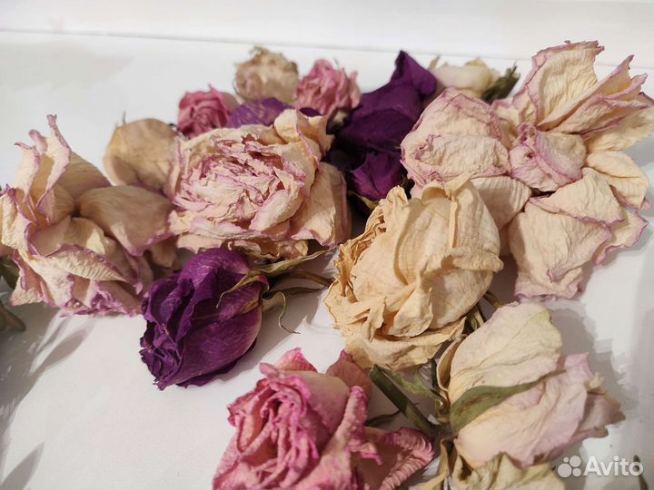 Сухие цветы розы, сухоцветы, лепестки для декора