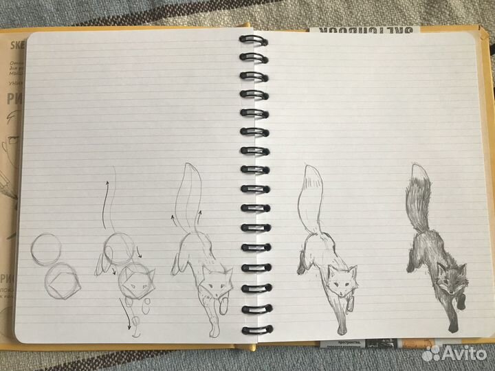 Книга для записей и зарисовок