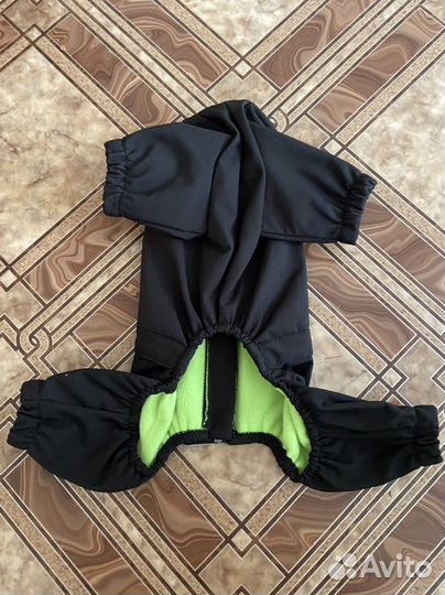 Дождевик для маленькой собаки до 3 кг