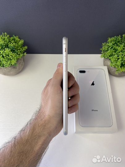 iPhone 8 Plus, 64 ГБ