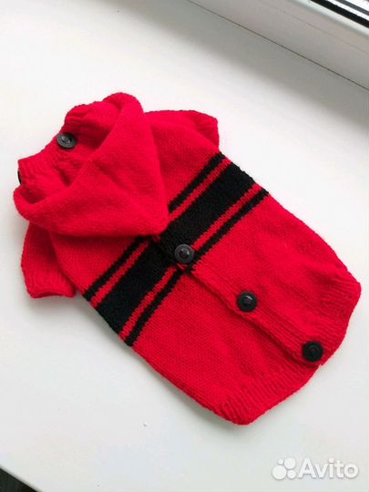 Одежда для собак