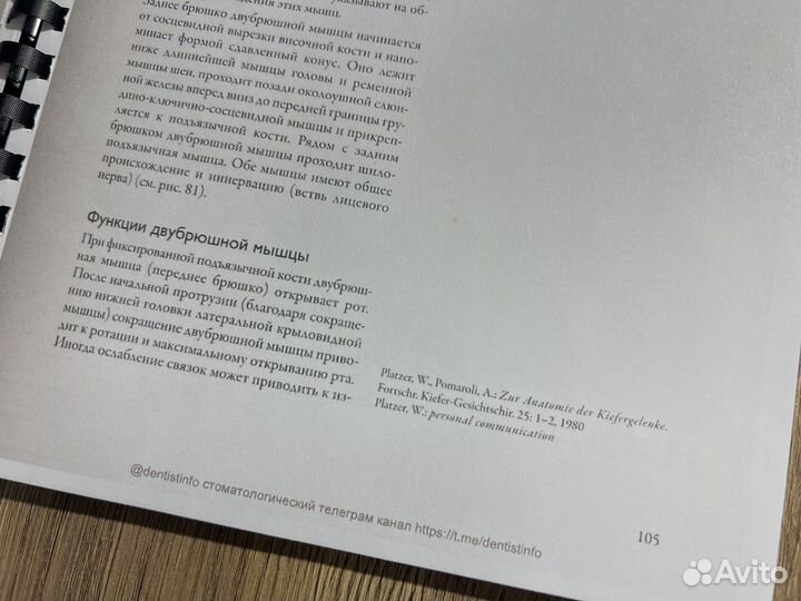 Жевательный орган