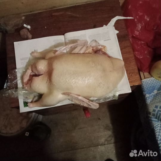 Мясо птицы,домашнее