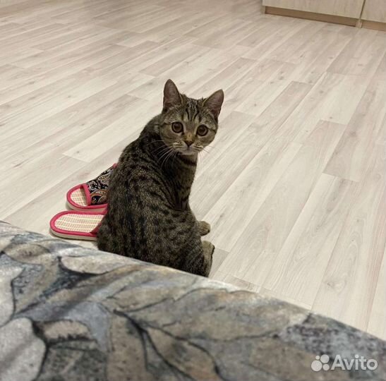 Подросток - девочка 7 месяцев