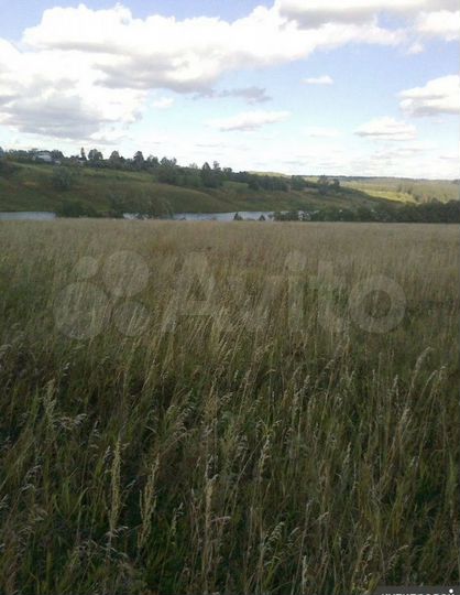 Участок 2 га (СНТ, ДНП)