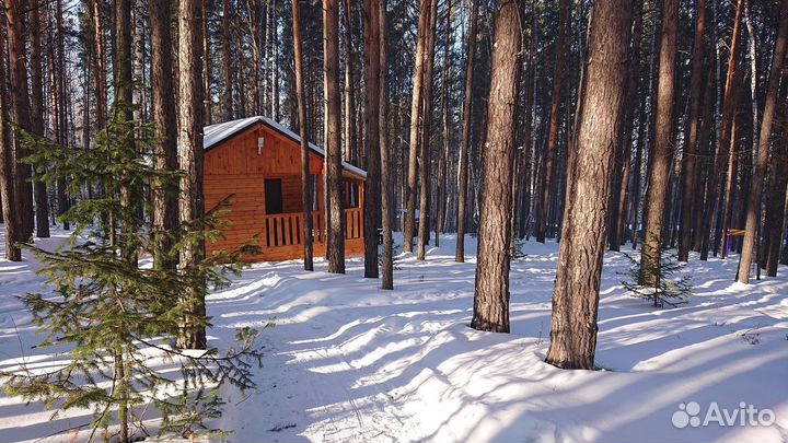 Аренда беседки
