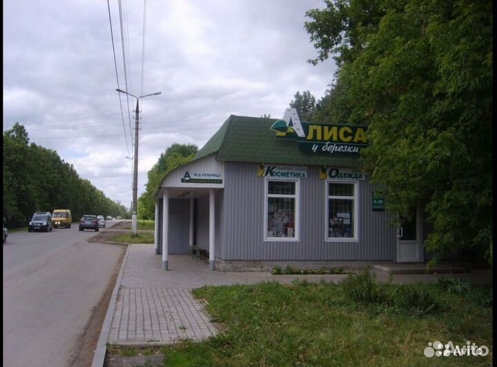 Кенар молодой (2 месяца)