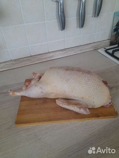 Мясо утки