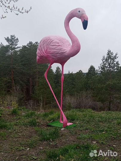 Фламинго