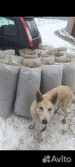 Солома мешками