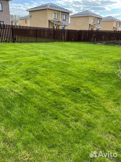 Семена газонной травы универсальные