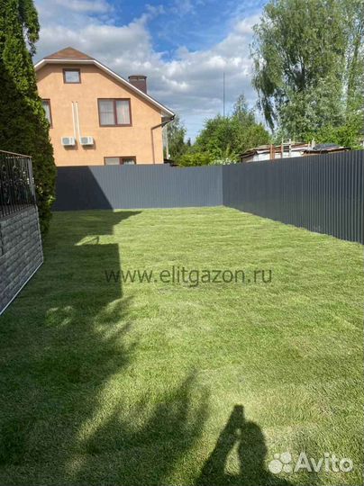 Рулонный газон /продажа/укладка