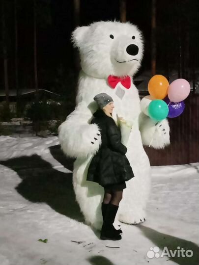 Праздники мероприятия белого медведя