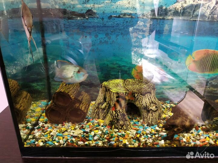 Аквариум