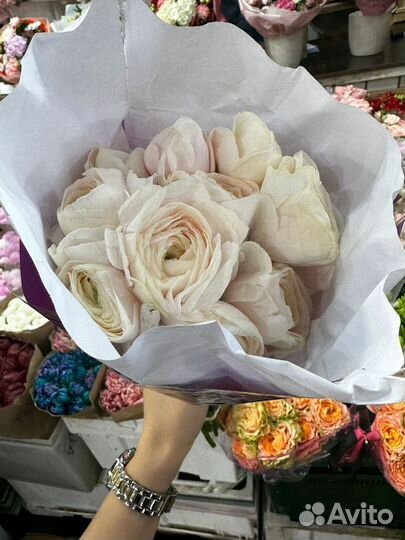 Букет пионов 9 пионов букет матиолы ранункулюсы