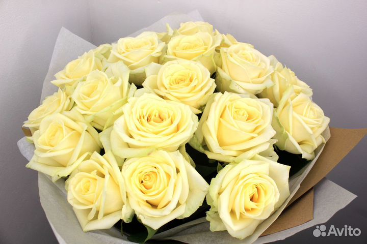 Букет роз. Розы 25 31 51 101