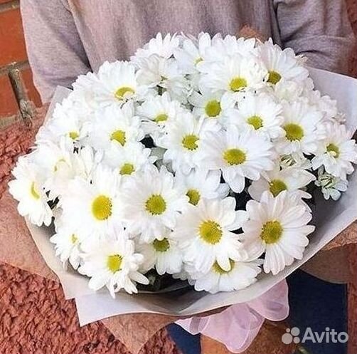 Хризантема Букеты доставка цветов