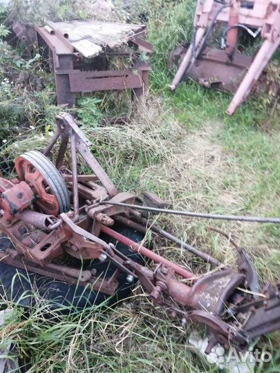 Сенокоска сегментная