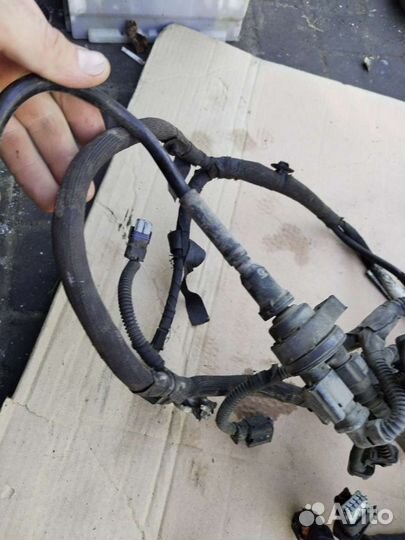 Проводка моторная Ситроен C-Elysee 1.2 мт 2013г