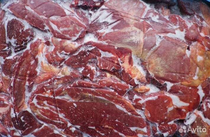 Мясо, готовые рационы, лакомства для собак