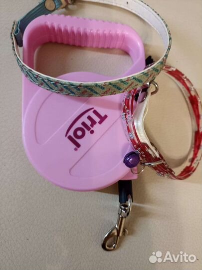Аксесуары для собак