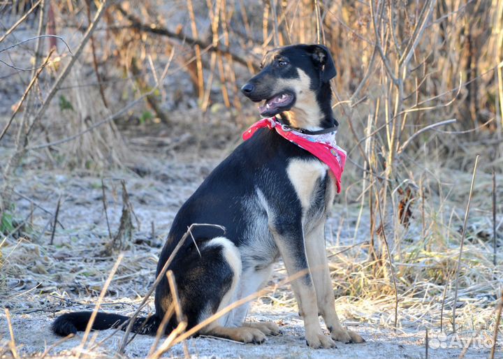 Августа очень нуждается в доме