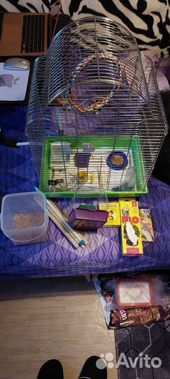 Клетка для попугая