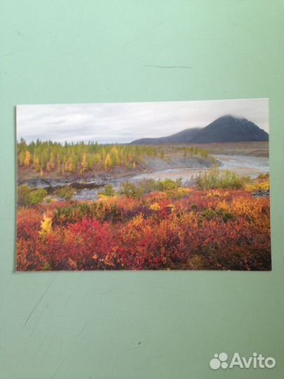 Открытки часть 5