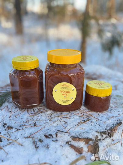 Таёжный мед (сбор 2023)