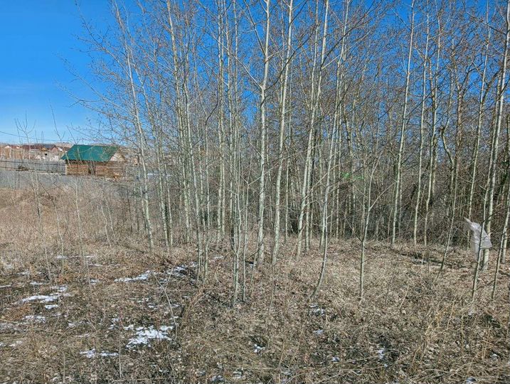 Участок 17,5 сот. (СНТ, ДНП)