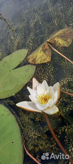 Отдых на Байкале экскурсии