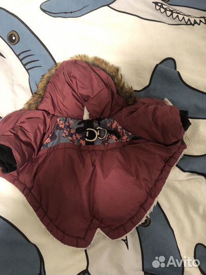 Куртка для собак