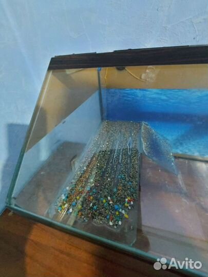 Акватеррариум для черепах