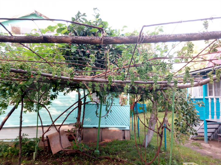 Дача 24 м² на участке 4 сот.