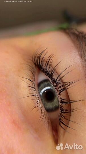 Мастер бровист