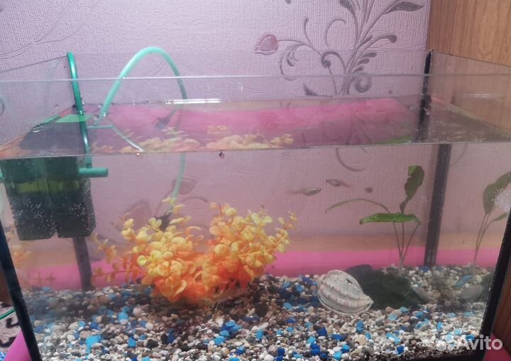 Аквариум