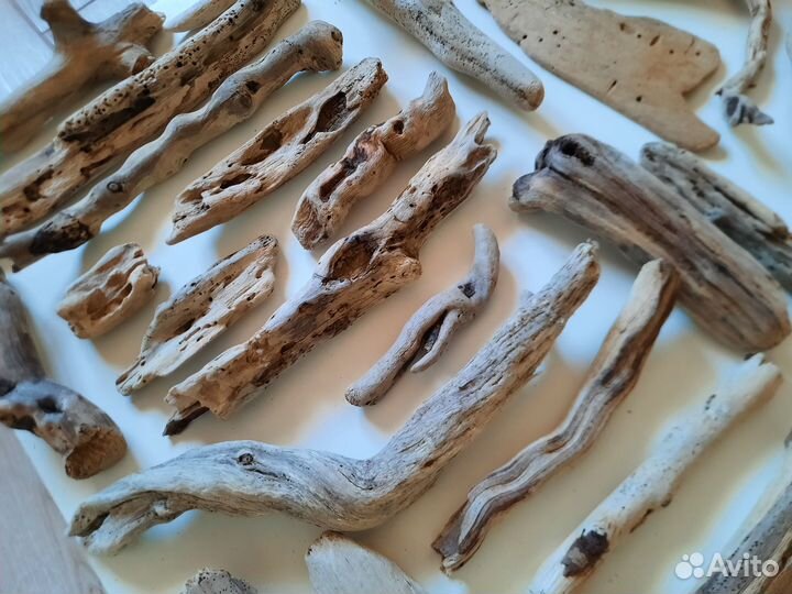 Дрифтвуд Чёрного моря (набор)