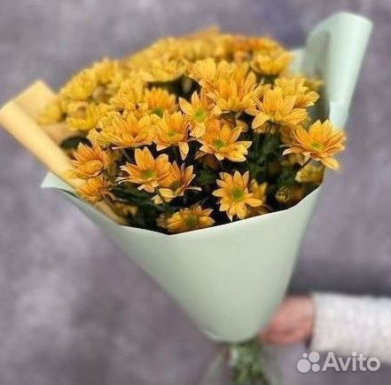 Букеты Цветы Хризантемы с доставкой