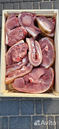 Мясо свинина телятина на кости